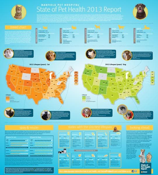 2Article-Banfield-StateofPetHealth2013