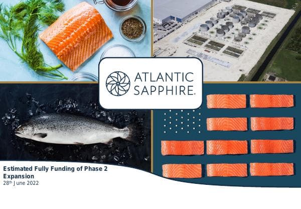 565994_28062022%20Atlantic%20Sapphire%20-%20Investor%20Presentation_vF