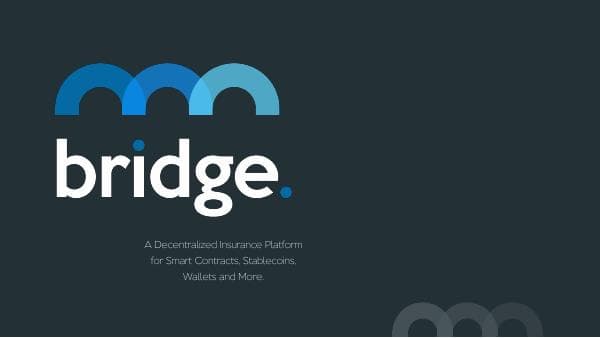 5fbe7def4399c528eb17c05d_BridgeMutual%20BP%201.68