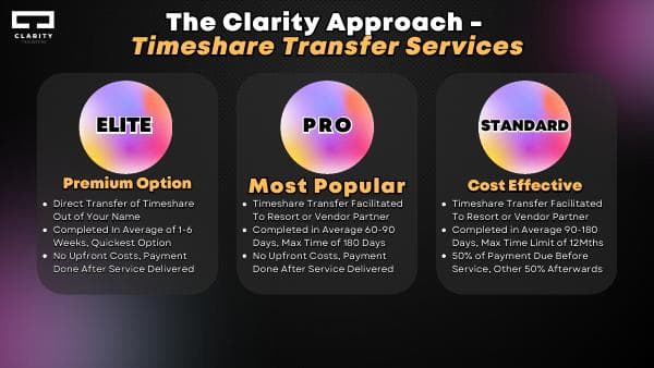 650b91b26cb4d804645917c6_Clarity%20Services%20Infographic%20V2