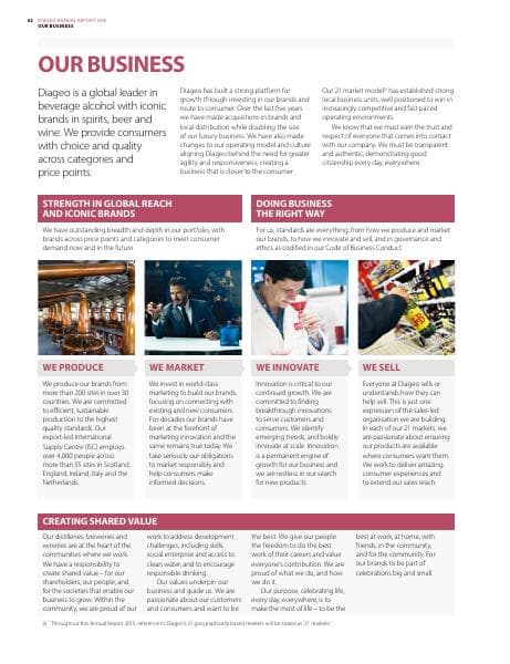 8_diageo_ar15_strategic_report