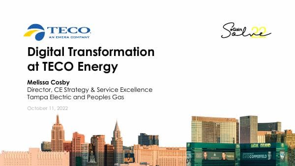 8_presentation_melissa_cosby_teco