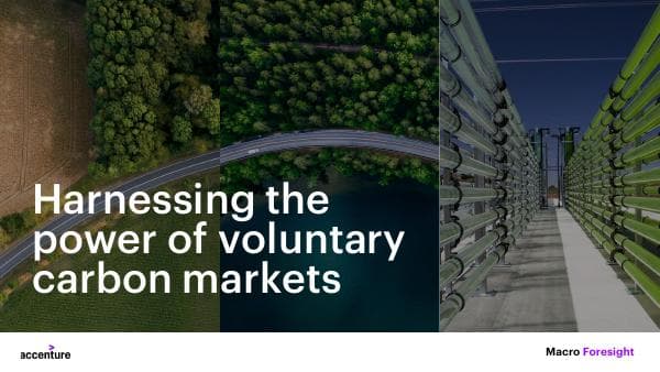Accenture-The-Carbon-Markets-POV