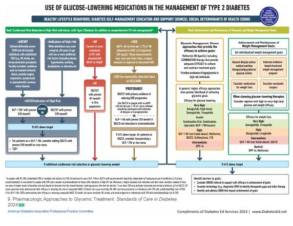 ADA-Meds-Algorithm-2024