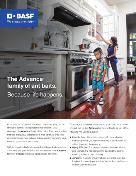 advance-ant-bait-sell-sheet