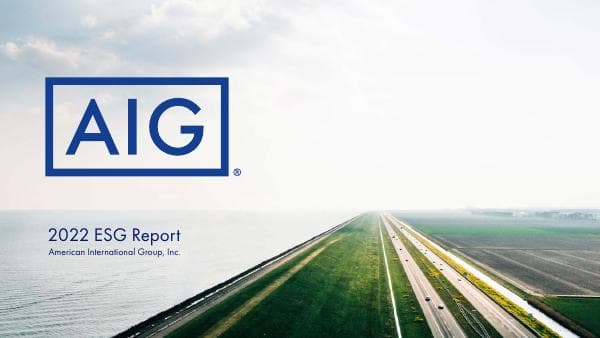 aig-esg-report_2022