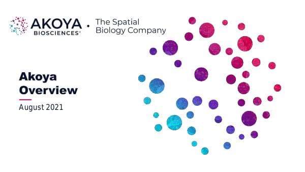 Akoya_August_2021_646_73646