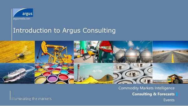 ALL%20-%20Introduction%20to%20Argus%20Consulting%20Services%202023
