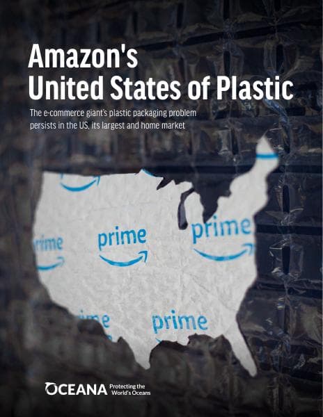 Amazons-United-States-of-Plastic-Oceana-Report-April-2024_reducedsize