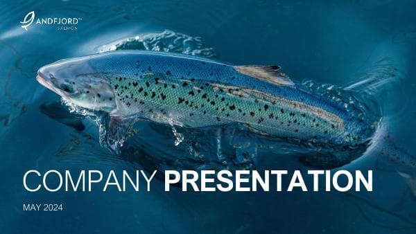Andfjord_Salmon_Company_Presentation_May_2024
