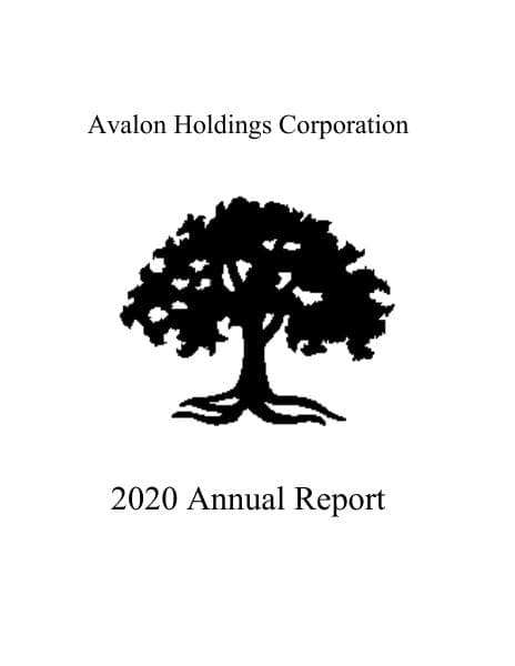annualreport032021