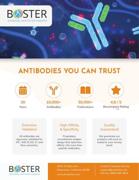 Antibody-Flyer-2