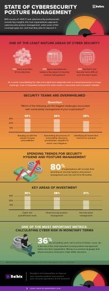 Balbix_Posture-Management-Research_Infographic