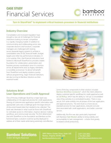 BambooSolutions_FinancialServices-casestudy