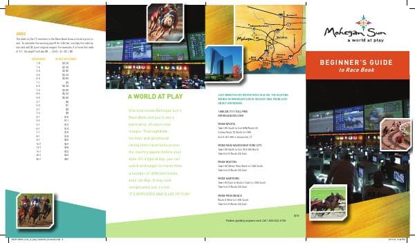 beginners-guide-race-book