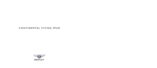 Bentley_int%20ContinentalFlyingSpur_2009