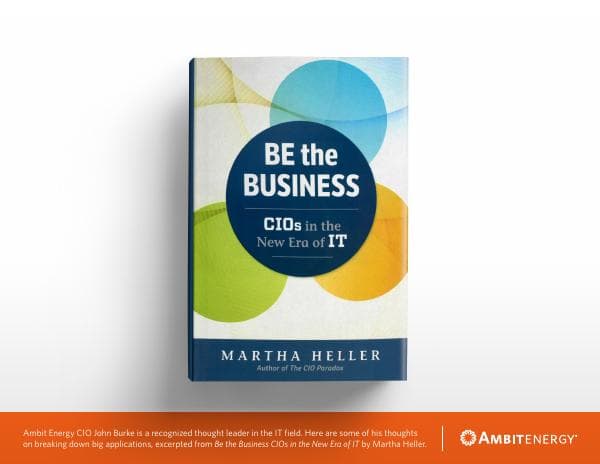 BetheBusiness_CIO_Excerpt