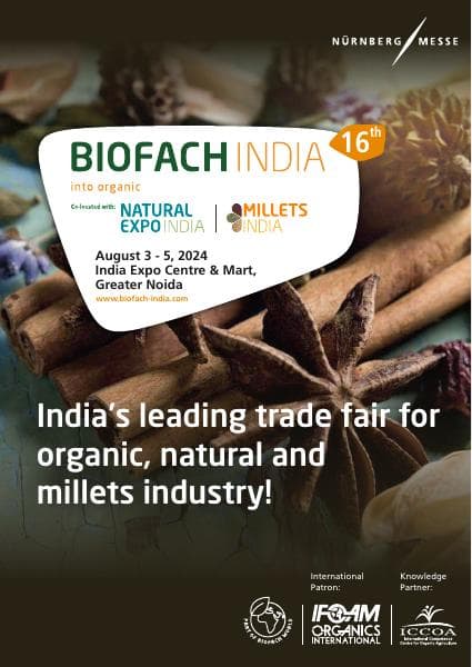 BFI_Brochure2024_11.06.2024