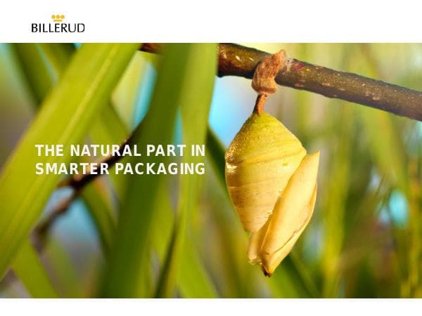 Billerud%20corporate%20presentation