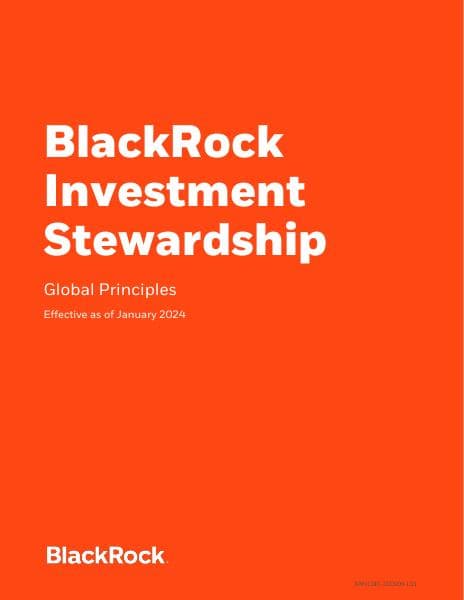 blk-responsible-investment-engprinciples-global