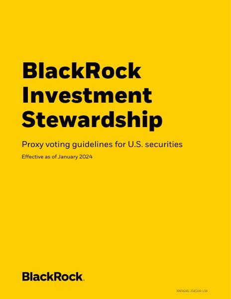 blk-responsible-investment-guidelines-us