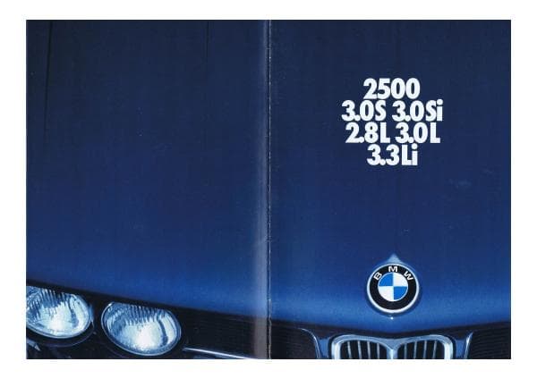 BMW_int%20NewSix_1976