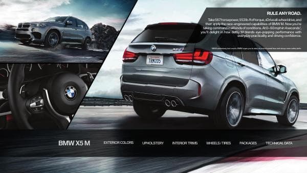 BMW_US%20X6M_2018