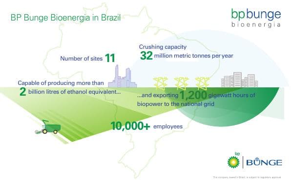 bp-bunge-bioenergia-infographic-july-19