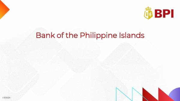 BPI%20Pitchbook%20vF_cln