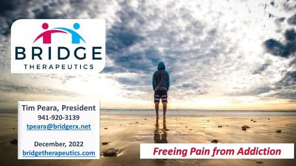 BridgeRx_Core_221201