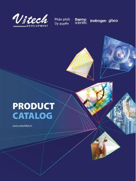 BROCHURE-VITECH-2024-FA