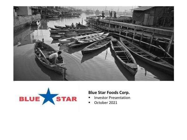 BSFC-Overview-October-2021-website