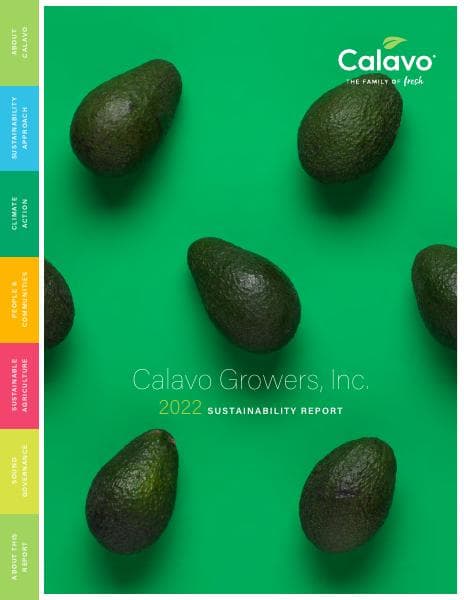 CalavoESG2022_FIN_SGL_2__91