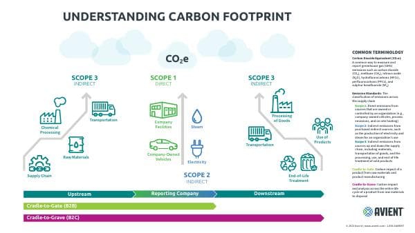 Carbon%20Footprint%20Infographic