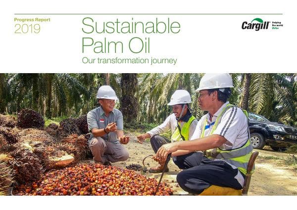 cargill-2019-palm-report