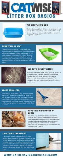 catwise-litter-box-basics-infographic