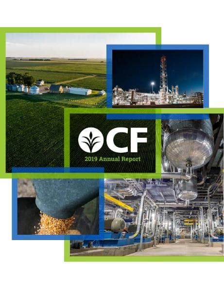 cf-2019-annual-report