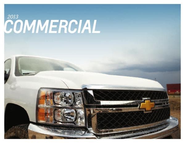 Chevrolet_US%20Express_2013