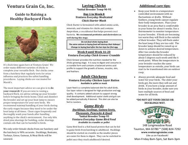 ChickCareBrochure2024-1