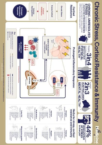 Chronic%20Stress_INFOGRAPHIC_FX%20MEDICINE_FINAL_2024%28DIGITAL%29
