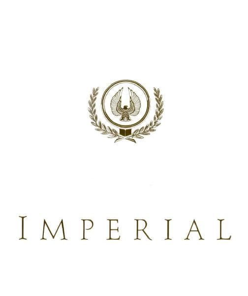 Chrysler_US%20Imperial_1991