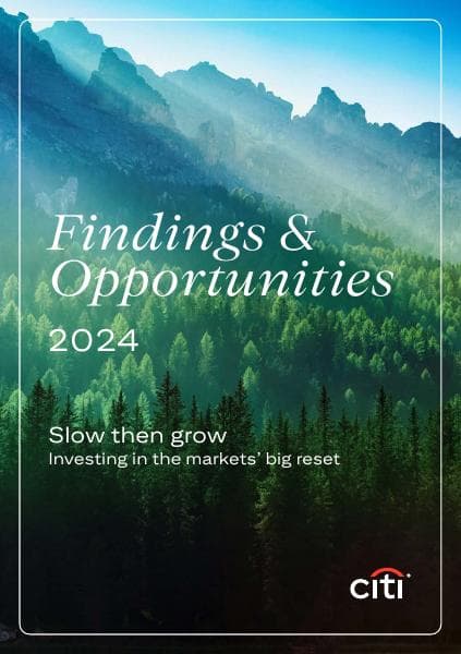 Citi_Wealth-Outlook-Findings-Opportunities-2024.pdf.coredownload.inline
