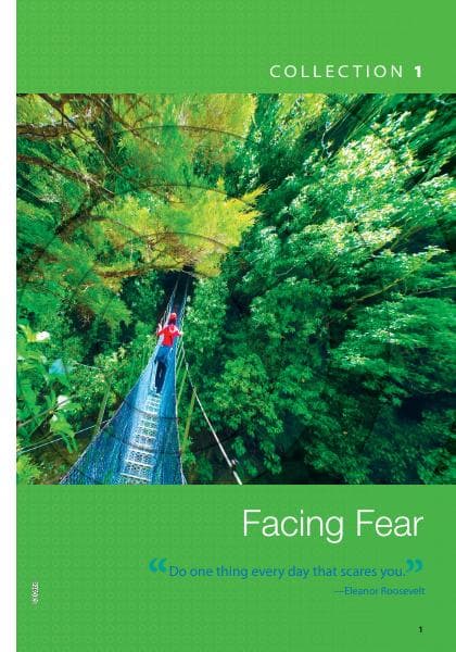 Collection%201-Facing%20Fear
