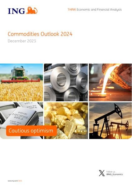 Commodities_outlook_2024