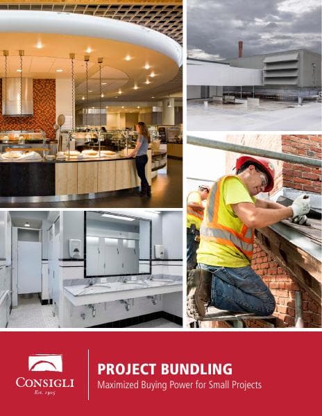 Consigli_ProjectBundling_Brochure_SpreadsRD_FINAL
