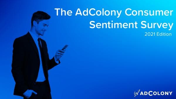 ConsumerSentimentSurvey