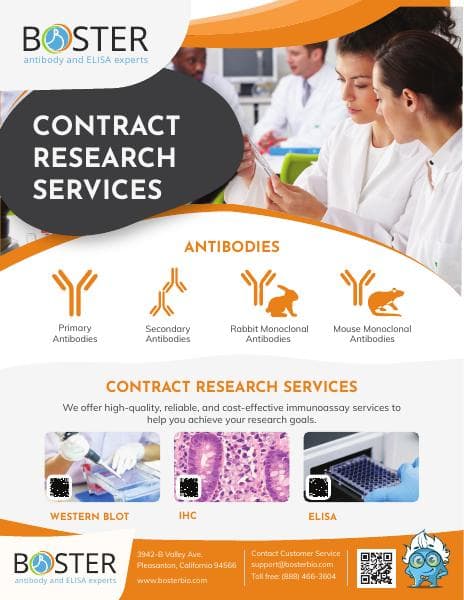 Contract-Research-Services