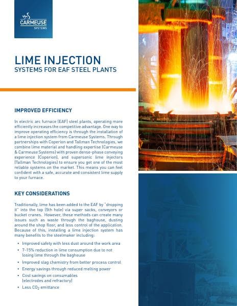 cs_lime-injection-brochure_spread_08012024