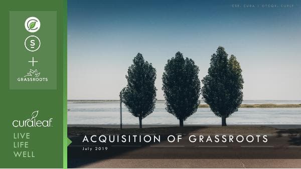 Curaleaf Holdings_July_2019_556_46556