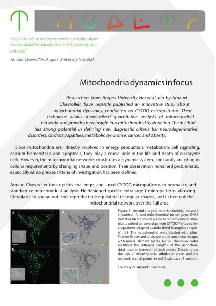 CytooStory-Mitochondria4